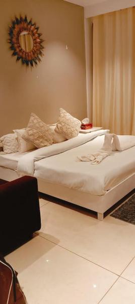 the luxury apartment in gurgaon